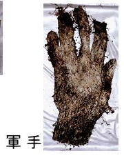 着衣