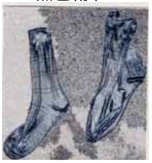 着衣