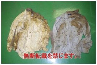 着衣