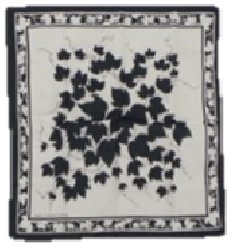 着衣