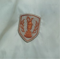 着衣