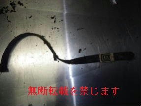 着衣