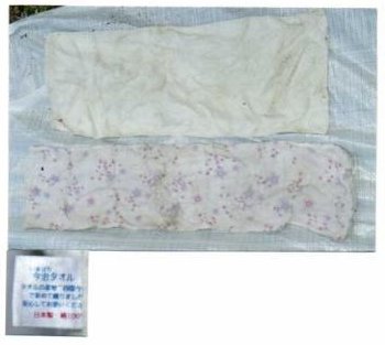 着衣