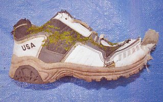 着衣