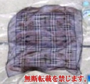 着衣