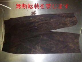 着衣