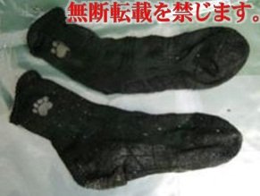 着衣