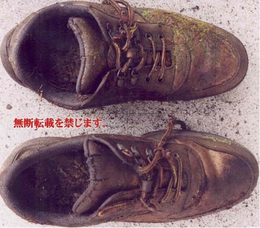 着衣