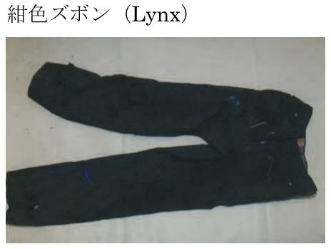 着衣