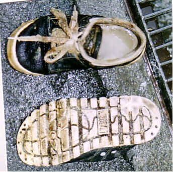 着衣