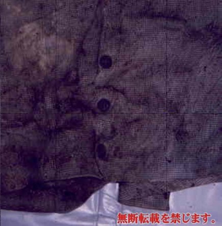 着衣