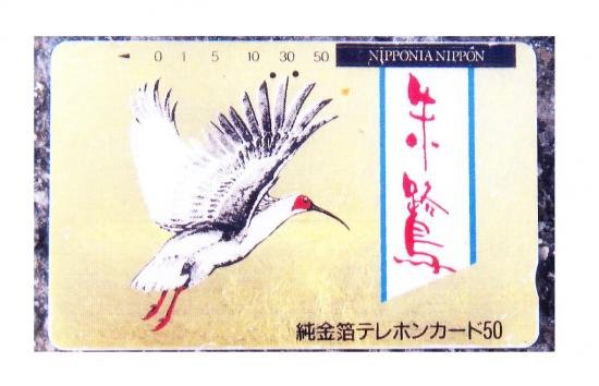 着衣