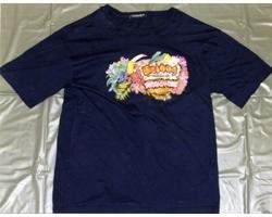 着衣